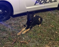 K-9 Nero 04